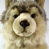 kinzwolf42